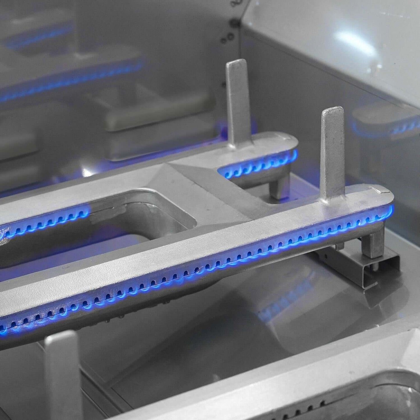 Echelon 48-Inch Built-In Grill With Digital Thermometer E1060i-4L1N - M&K Grills