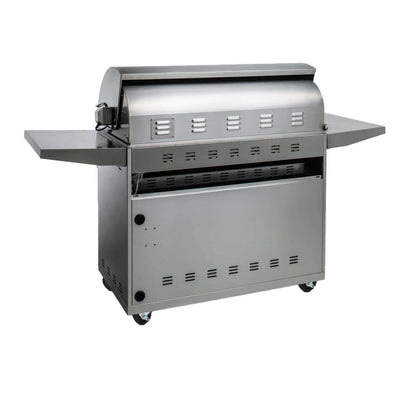 Blaze BLZ-4PRO Professional LUX 44-Inch 4-Burner Gas With Rear Infrared Burner - Rear View