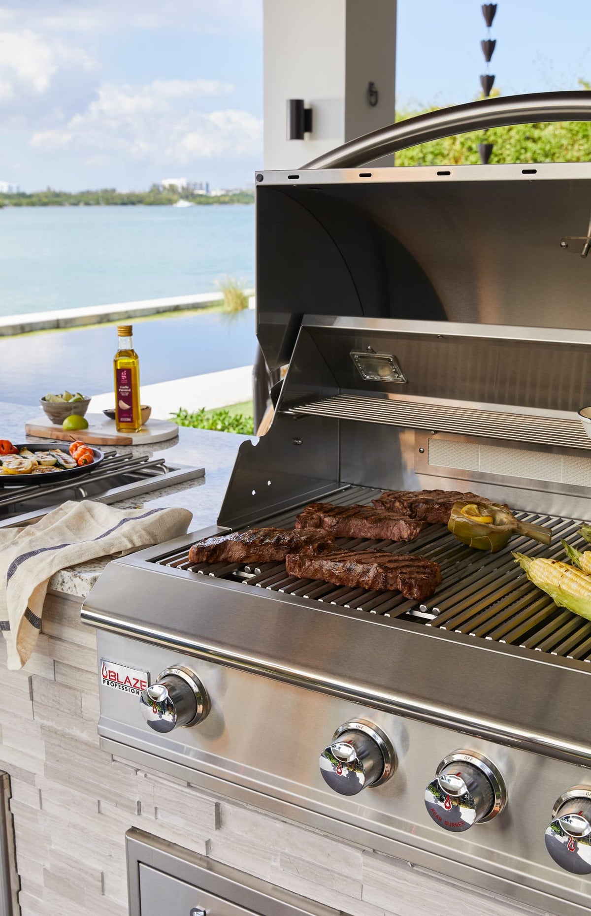 Blaze Professional LUX 44-Inch 4-Burner Built-In Gas Grill With Rear Infrared Burner, view 12